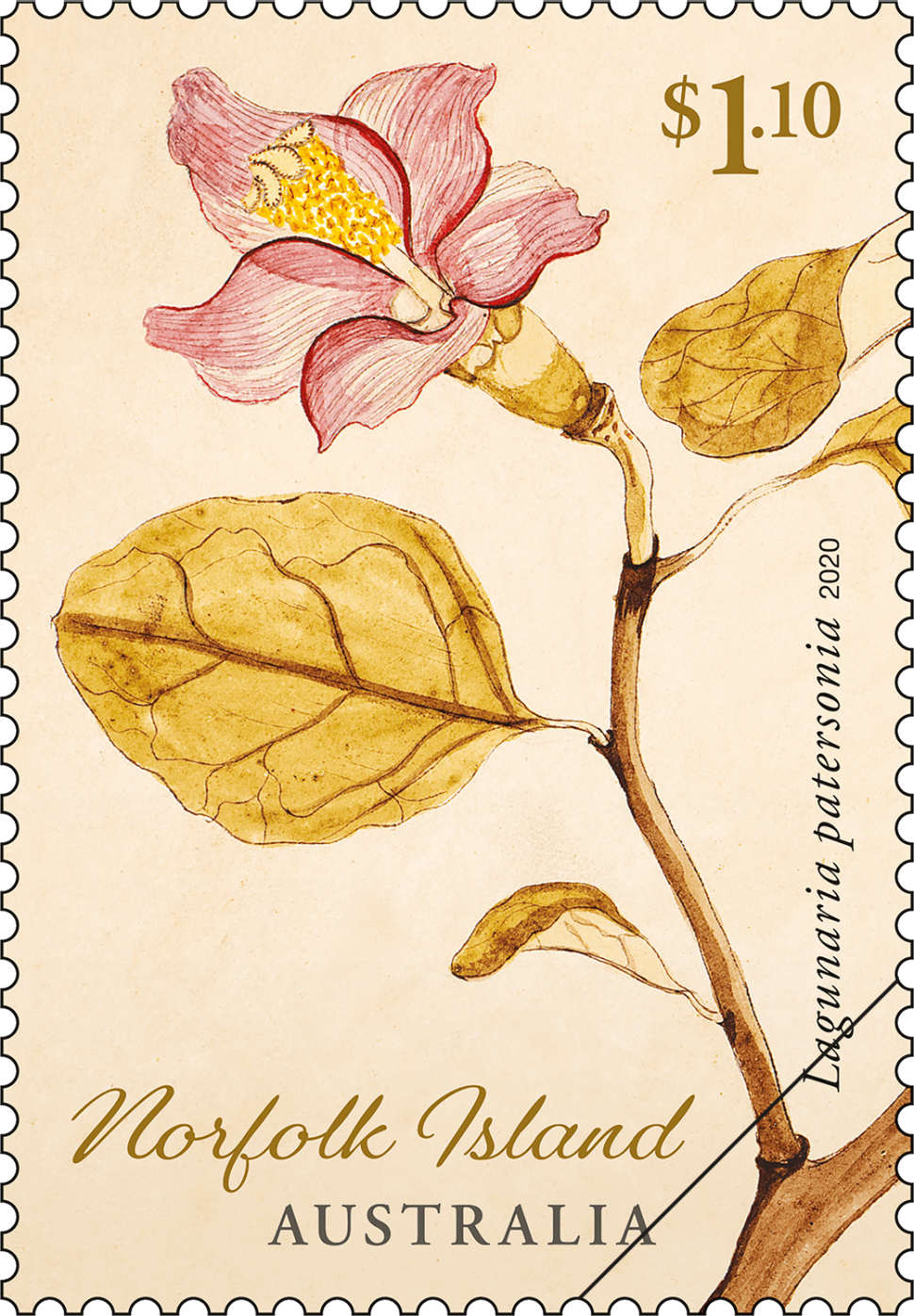 $1.10 - Lagunaria patersonia