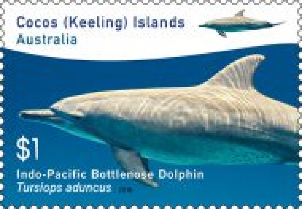 $1 Indo-Pacific Bottlenose Dolphine for the Cocos (Keeling) Islands