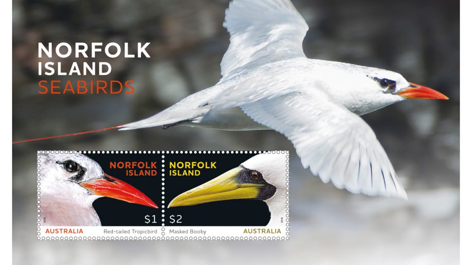 Norfolk Island Seabirds minisheet