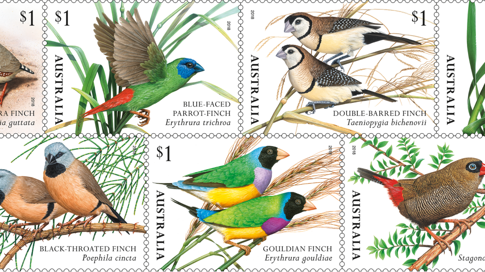 Australian bird stamps: past and present