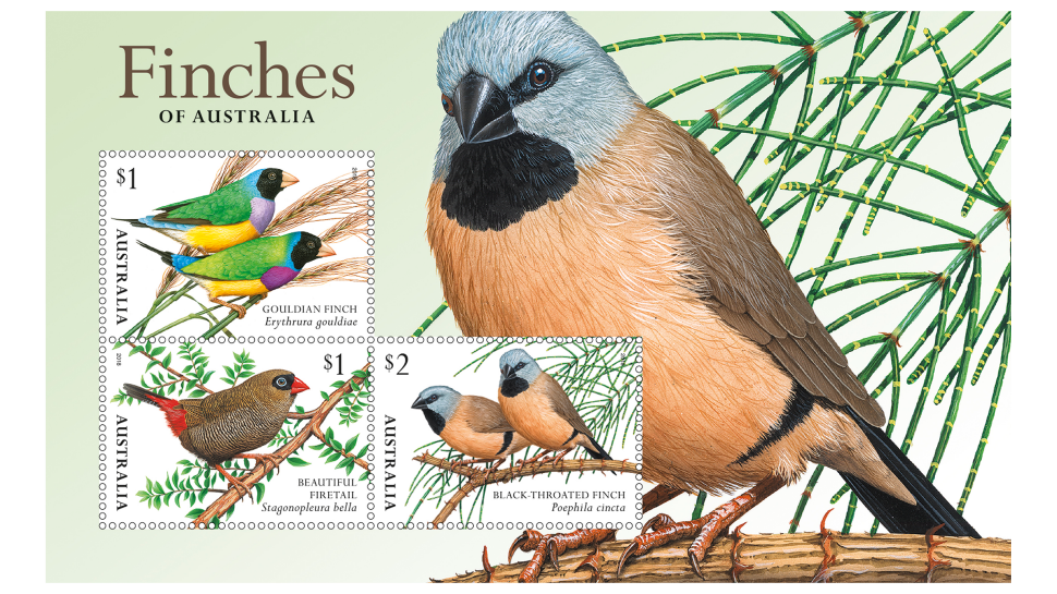 Finches of Australia II minisheet