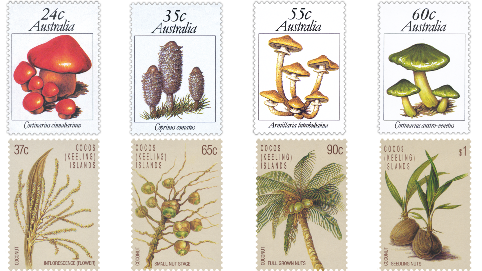 Banksias stamp issue for Australia and Cocos (Keeling) Islands