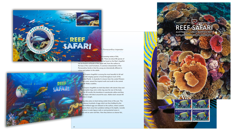 Selection of Reef Safari products