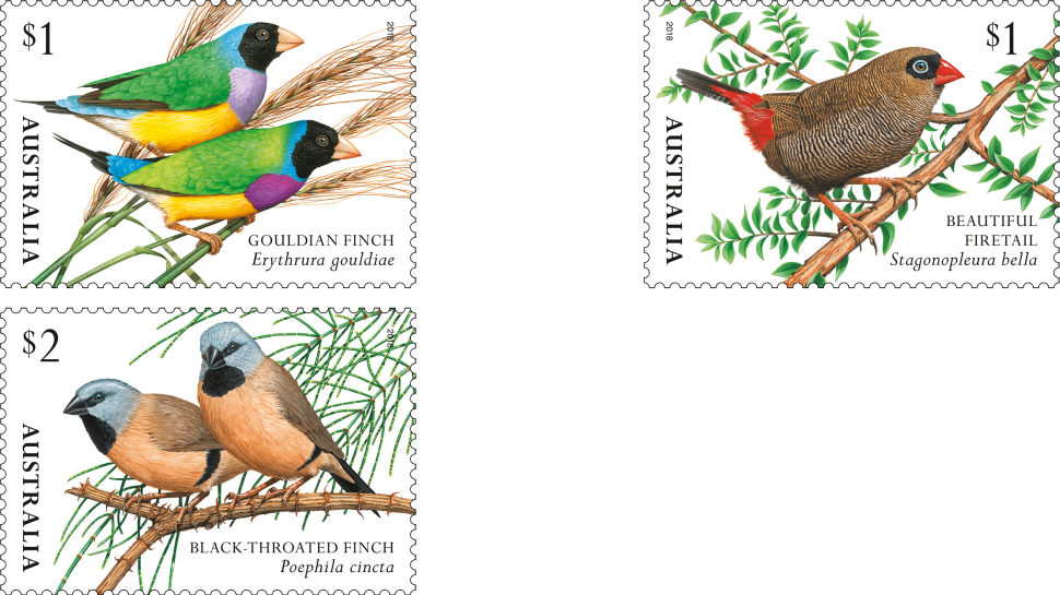 Finches of Australia, part 2