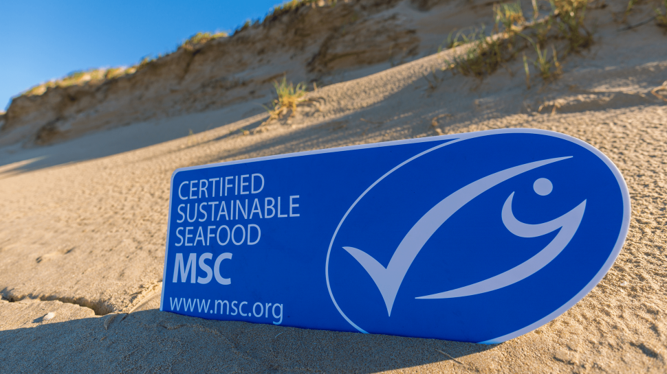 Certified Sustainable Seafood MSC advertisement on a beach