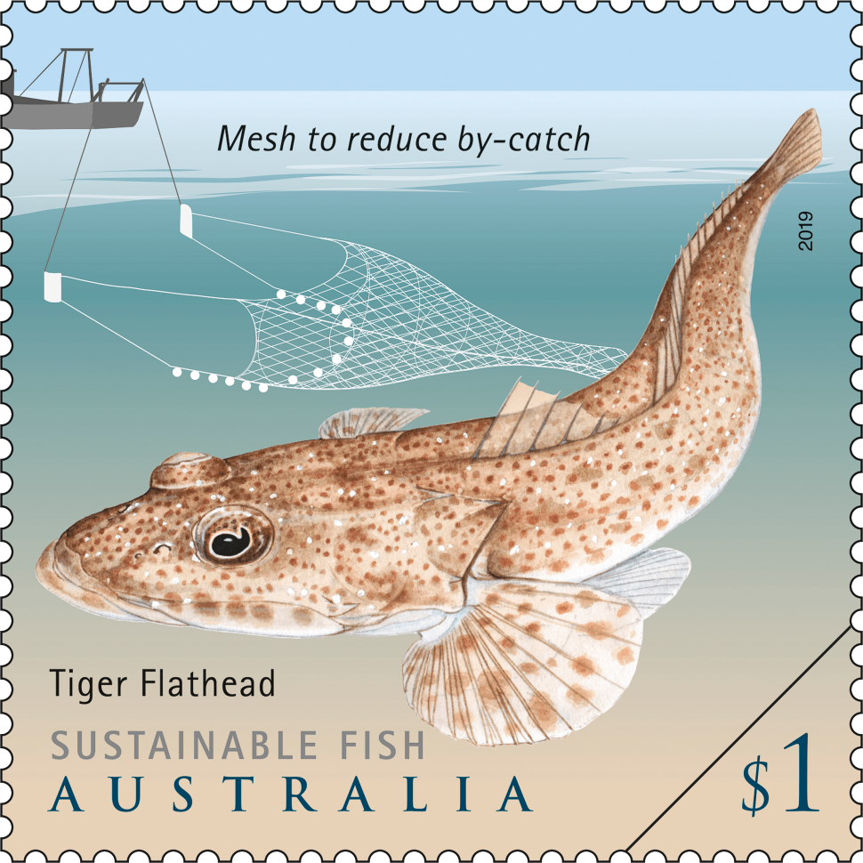 Sustainable Fish Tiger Flathead stamp