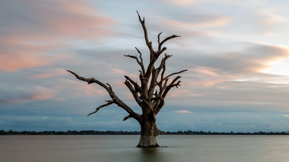 Preserving Australia’s wetlands