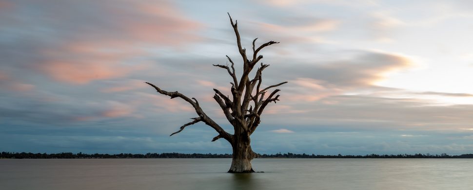 Preserving Australia’s wetlands