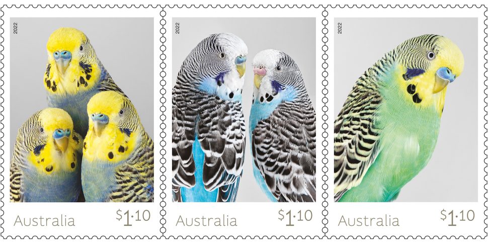 Budgerigars stamps