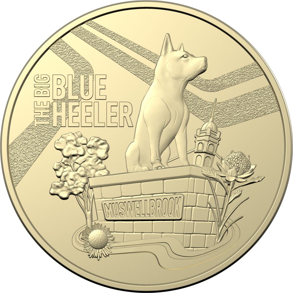 Big Blue Heeler $1 uncirculated coin