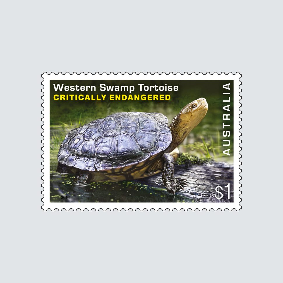 Endangered Wildlife SCM 2016 Western Swamp Tortoise $1 stamp