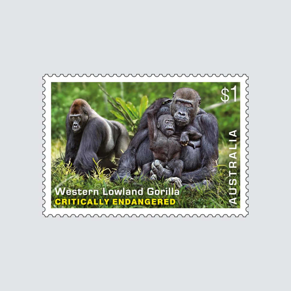 Endangered Wildlife SCM 2016 Western Lowland Gorilla $1 stamp