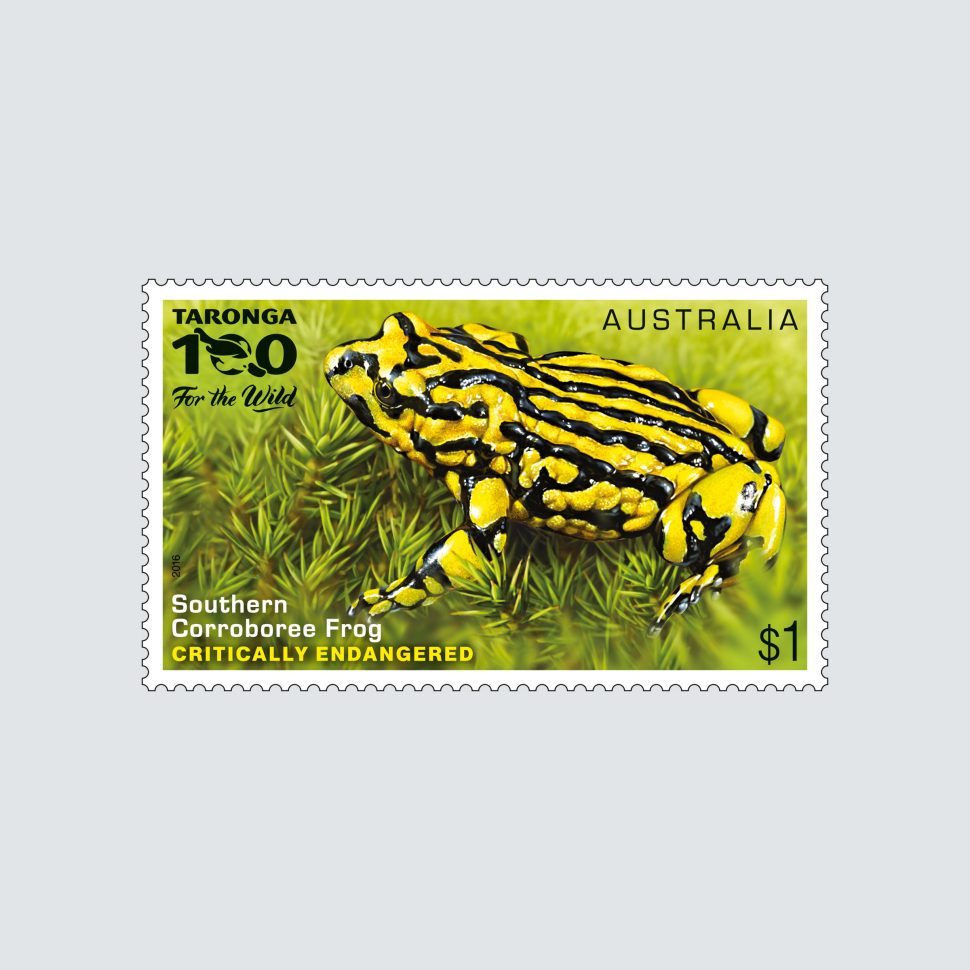 Endangered Wildlife SCM 2016 Southern Corroboree Frog $1 stamp