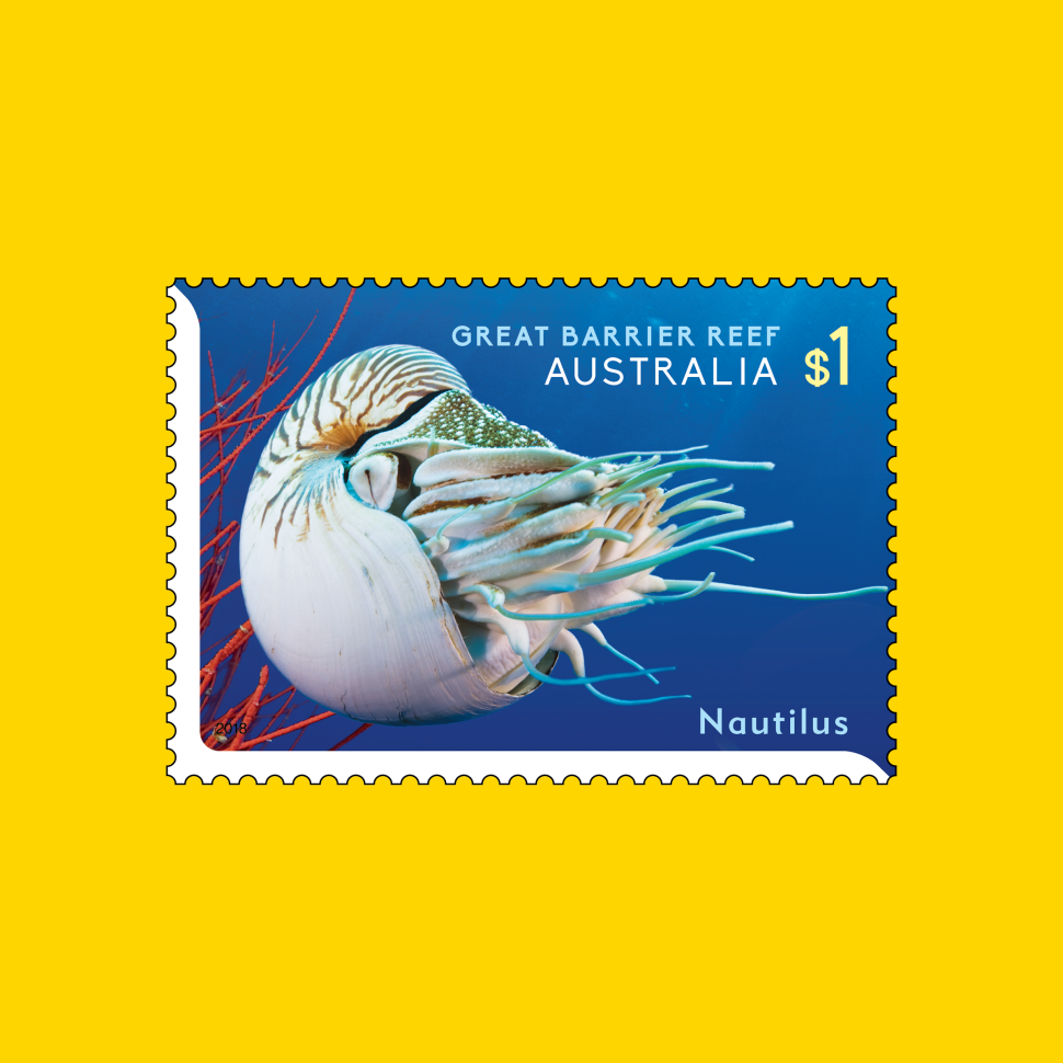Nautilus (Nautilus pompilius) stamp