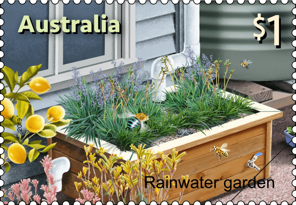 Rainwater garden