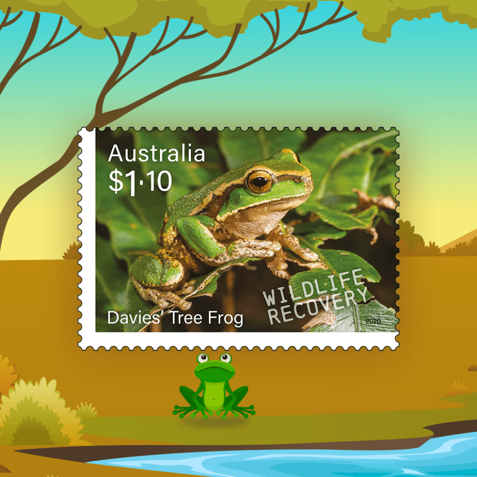 Davies’ Tree Frog