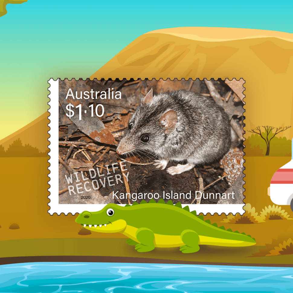 Kangaroo Island Dunnart