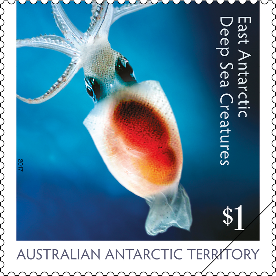 AAT: East Antarctic Deep Sea Creatures