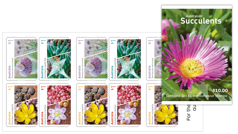 Australian Succulents booklet of 10