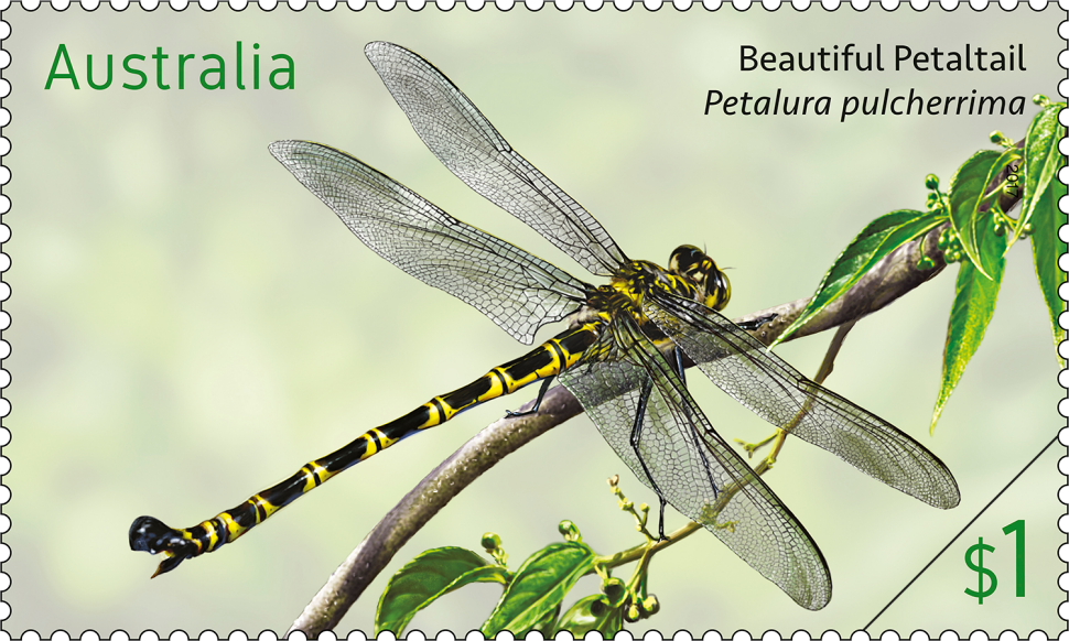 Dragonflies - Stamp Collecting Month 2017