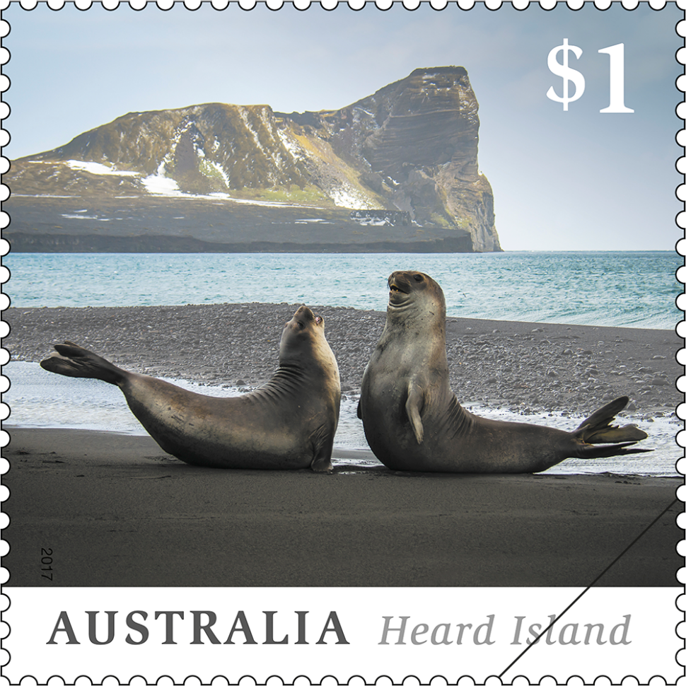 $1 Southern Elephant Seals