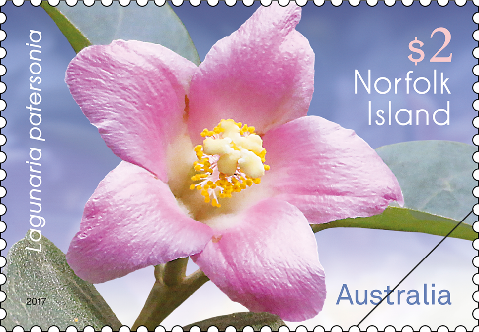 Norfolk Island Flowers