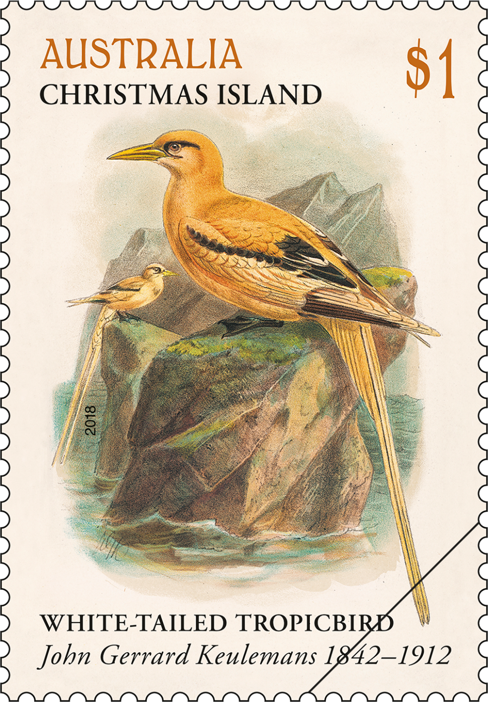 $1 White-tailed Tropicbird (Phaethon lepturus fulvus)