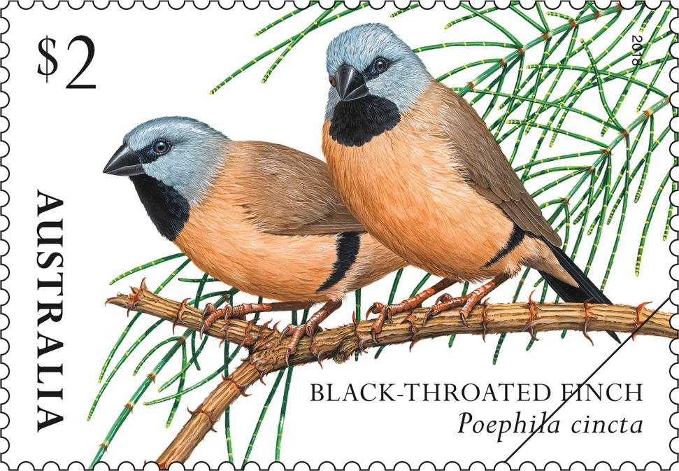 $2 Black-throated Finch (Poephila cincta)