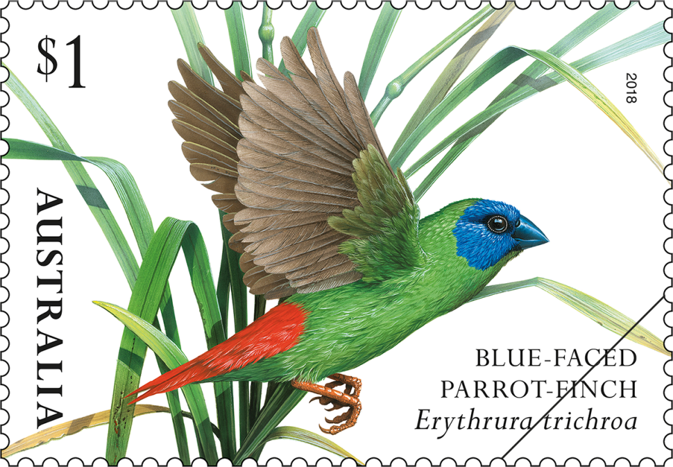 $1 Blue-faced Parrot-Finch (Erythrura trichroa)