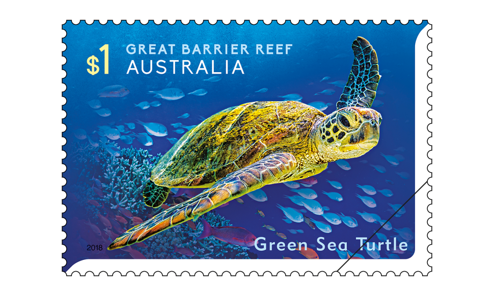 $1 Green Sea Turtle (Chelonia mydas)