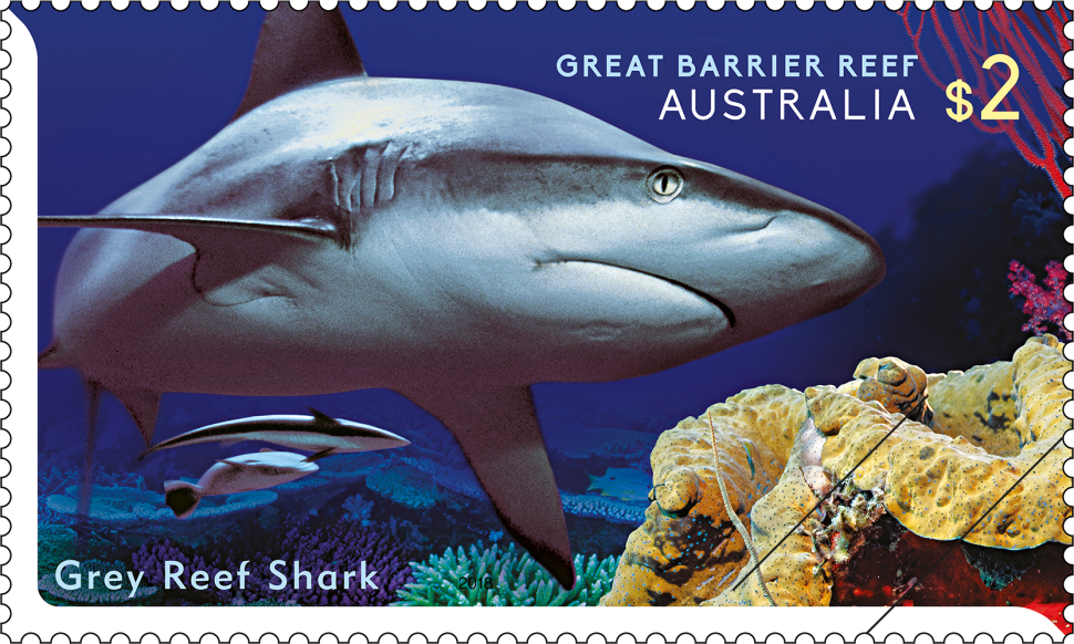 $2 Grey Reef Shark (Carcharhinus amblyrhynchos)
