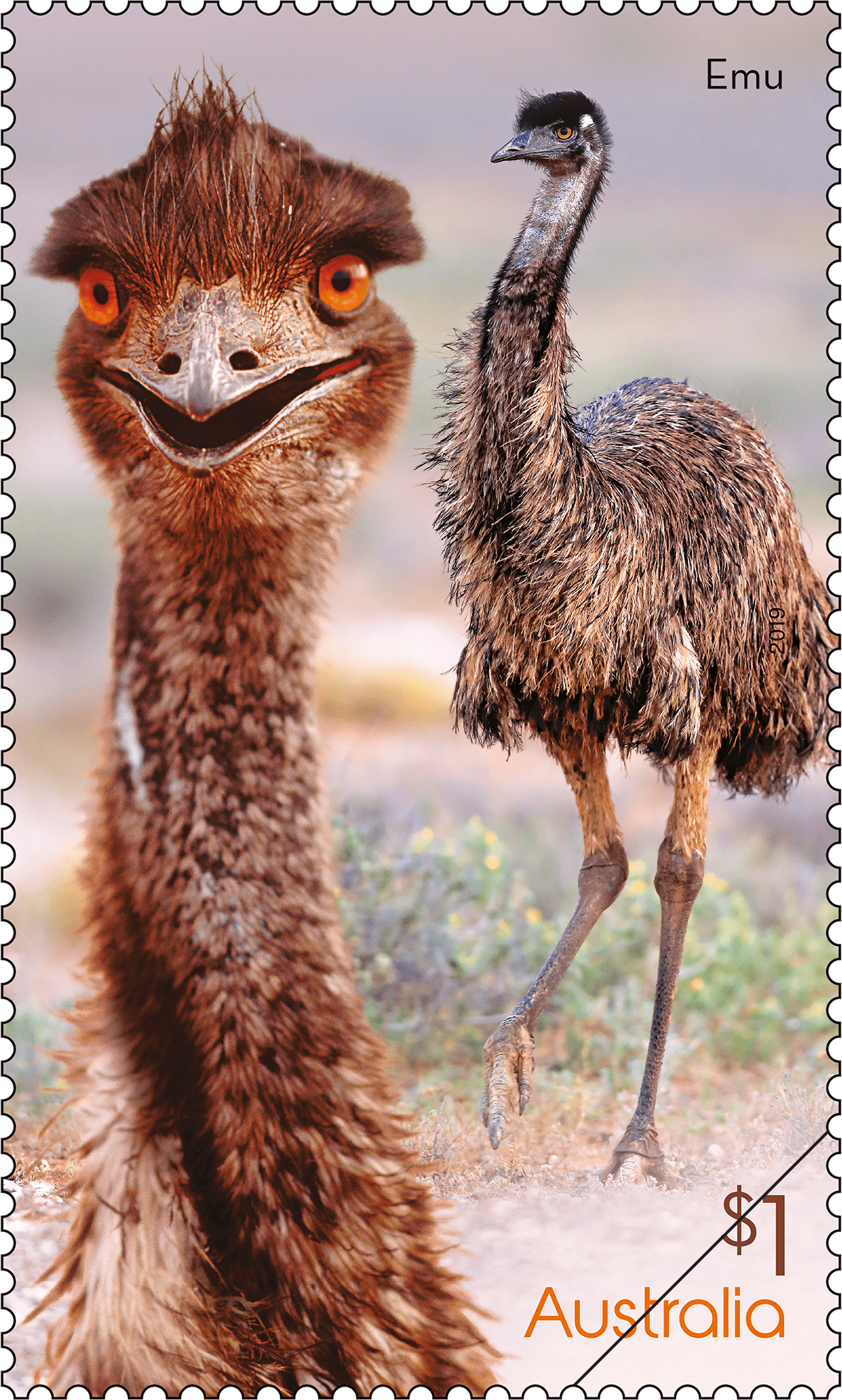 Flightless Birds - Australia Post