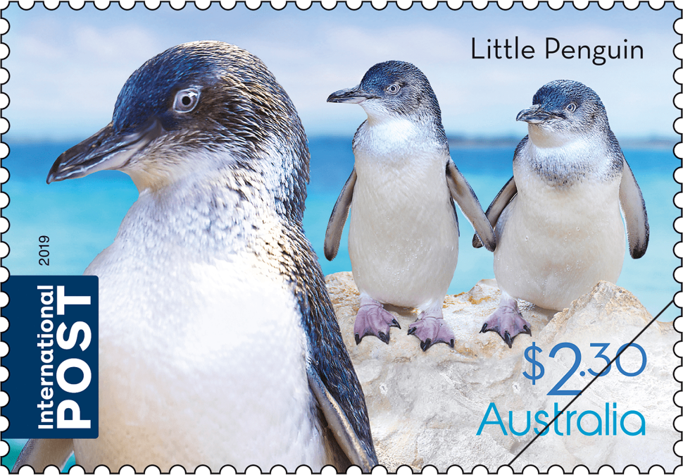 $2.30 - Little Penguin (Eudyptula minor)