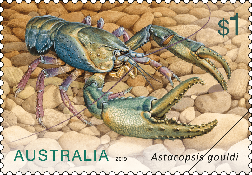 $1 Astacopsis gouldi stamp