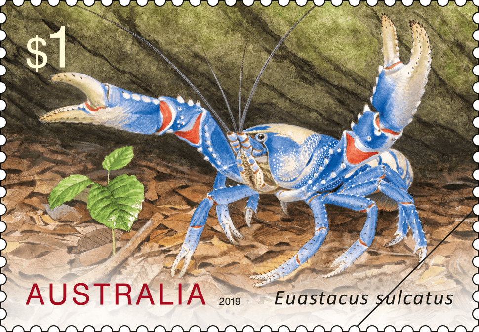 $1 Euastacus sulcatus stamp