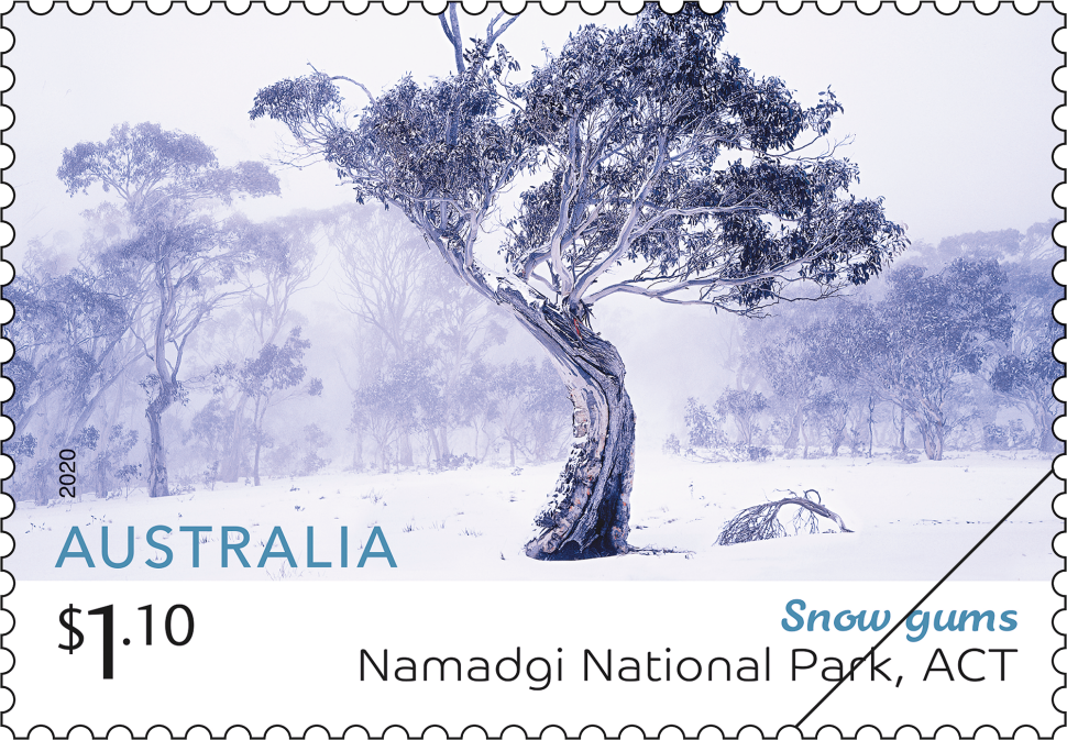 $1.10 Snow gums, Namadgi National Park, ACT