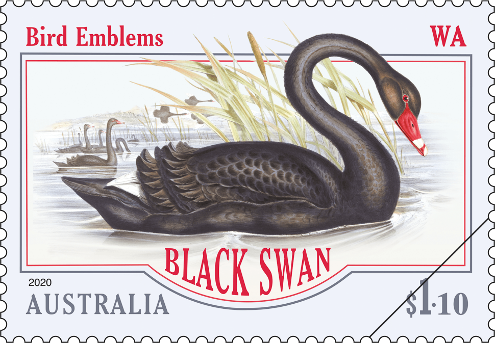 $1.10 - Black Swan