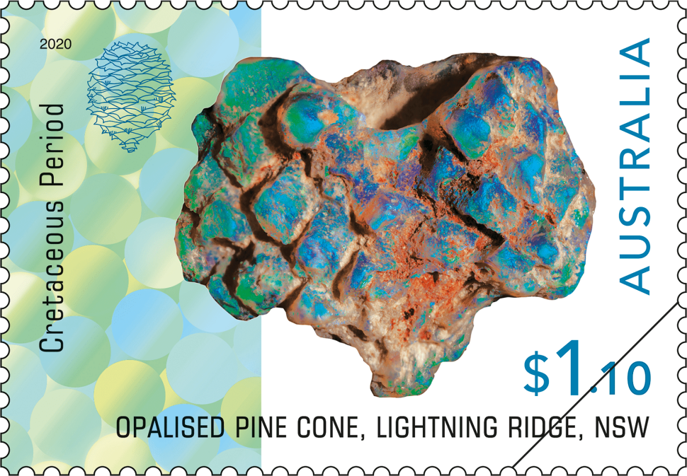 $1.10 Opalised pine cone, Lightning Ridge, NSW