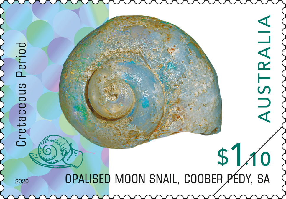 $1.10 Opalised moon snail, Coober Pedy, SA
