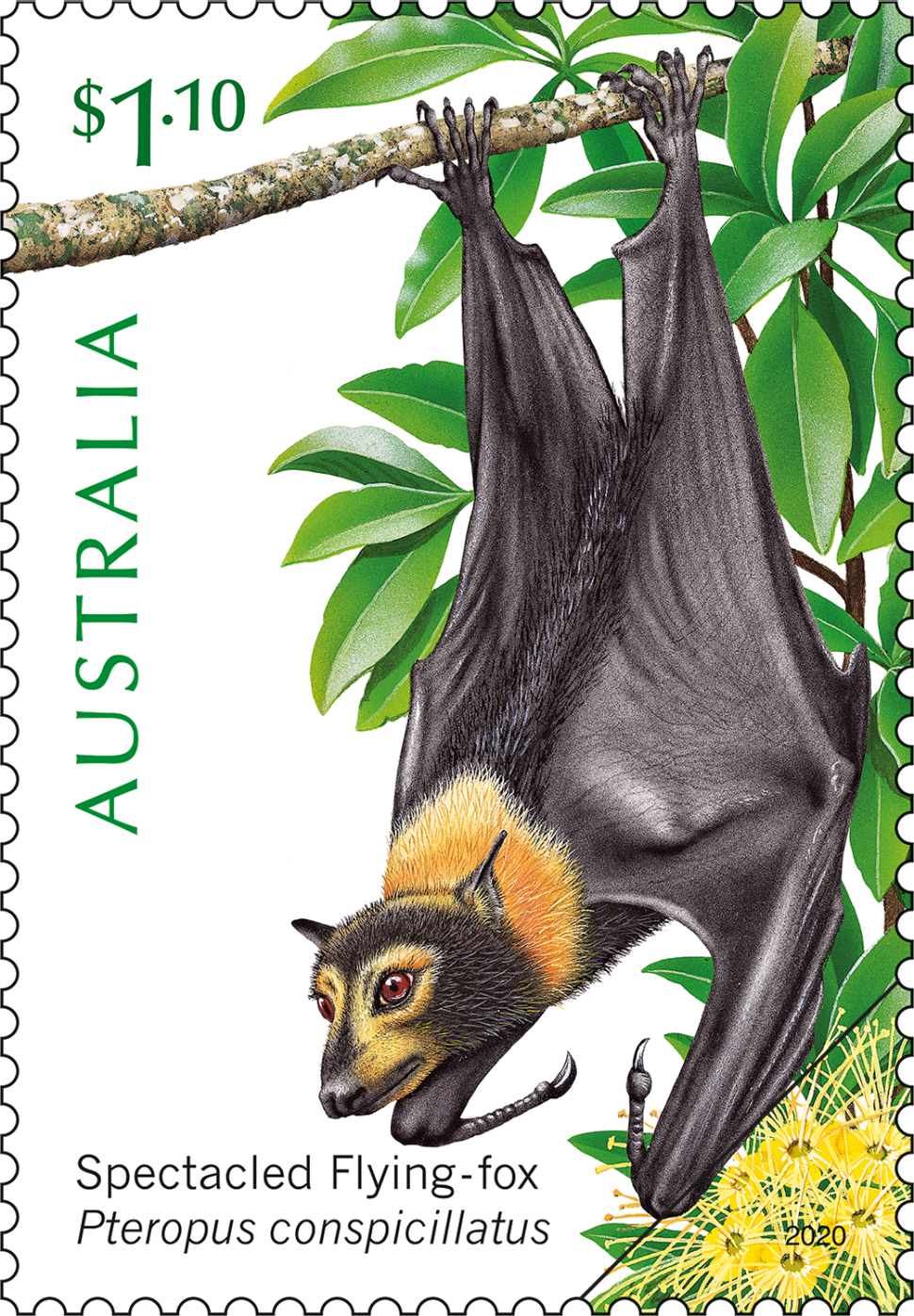 $1.10 - Spectacled Flying-fox