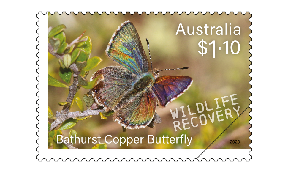 $1.10 Bathurst Copper Butterfly