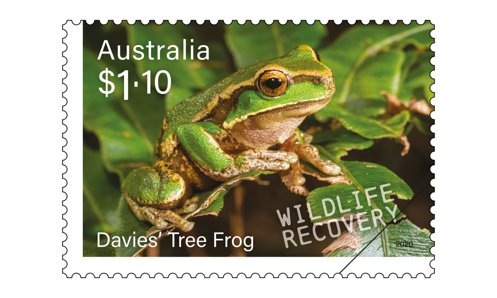 $1.10 Davies’ Tree Frog