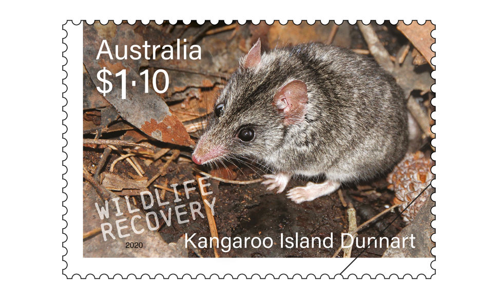 $1.10 Kangaroo Island Dunnart