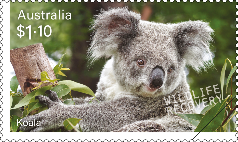 $1.10 Koala