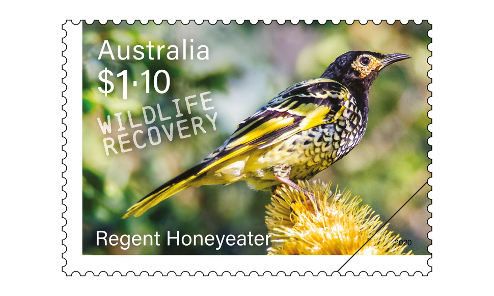 $1.10 Regent Honeyeater