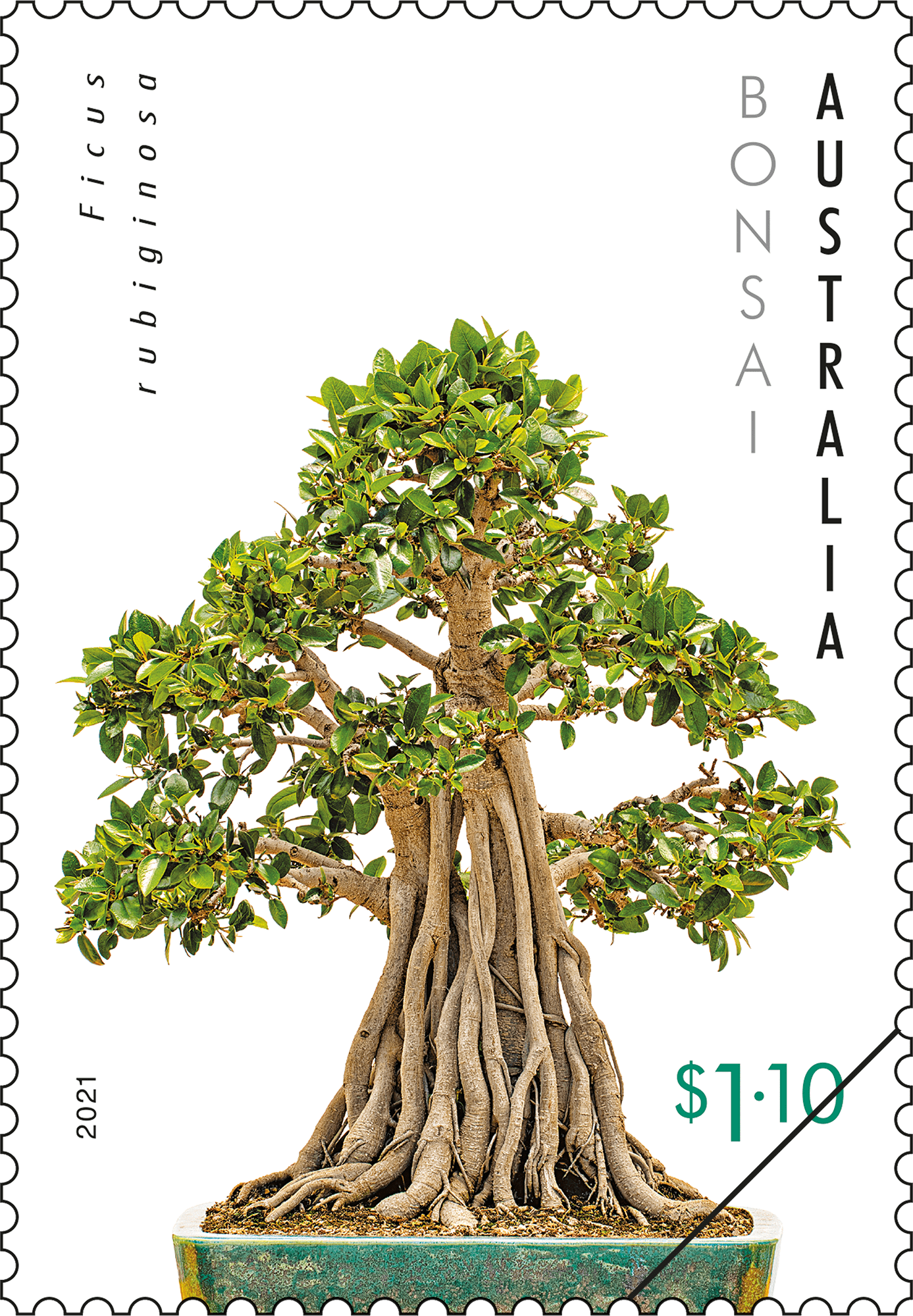 Australian Native Bonsai - Australia Post