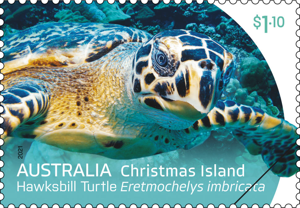 $1.10 Hawksbill Turtle, Eretmochelys imbricata, close-up