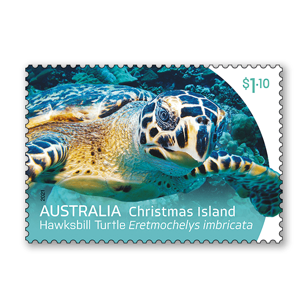Christmas Island: Turtles