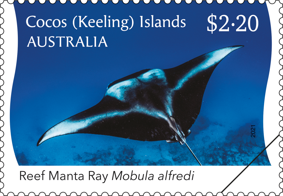 $2.20 Reef Manta Ray – black-and-white dorsal view