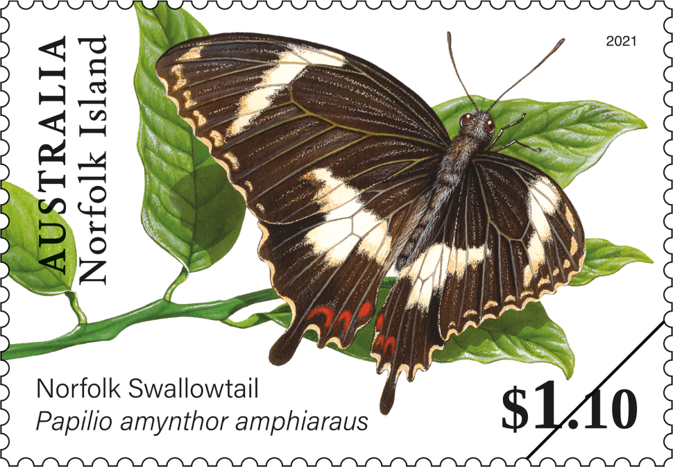$1.10 Norfolk Swallowtail, Papilio amynthor amphiaraus